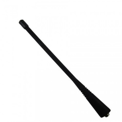 accessory image