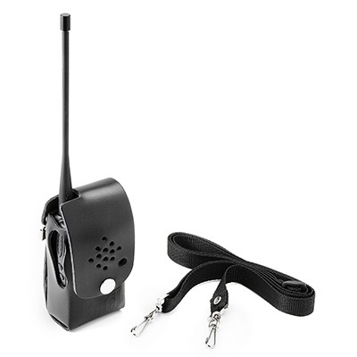 accessory image