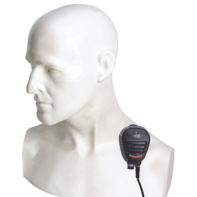 accessory image