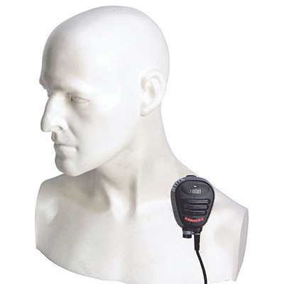 accessory image