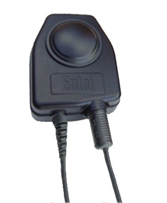 accessory image